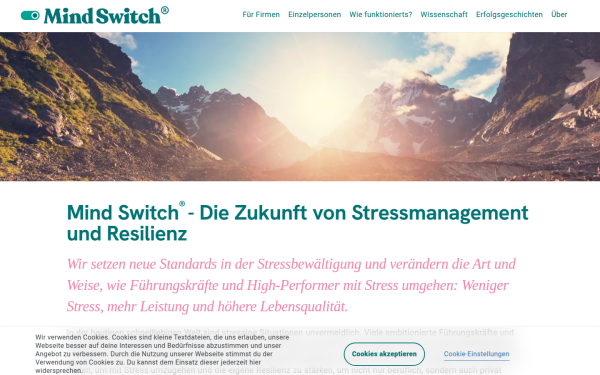 www.mindswitch.ch