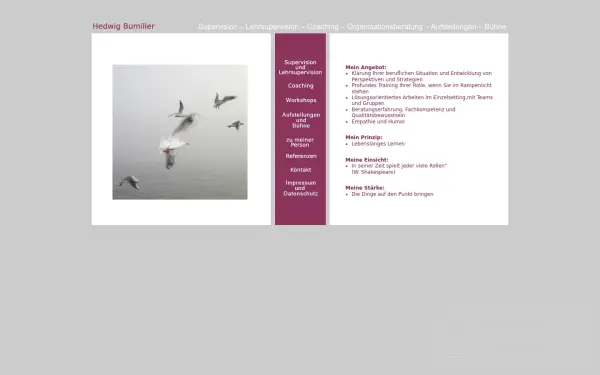hedwig-bumiller.de