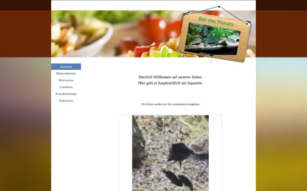 domaschka-online.de