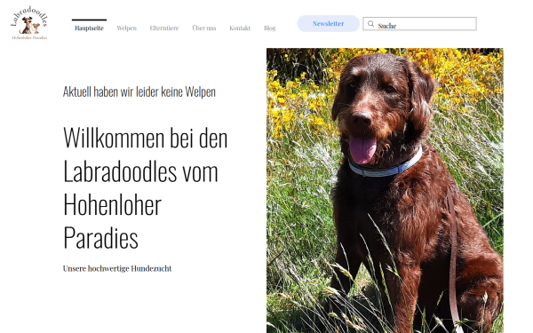 www.labradoodleparadies.de