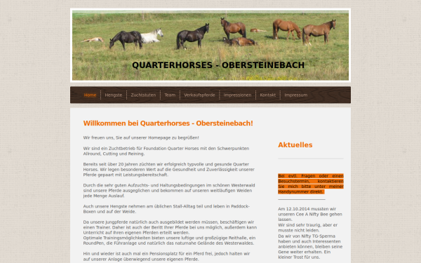 www.rieser-quarter-horse.de