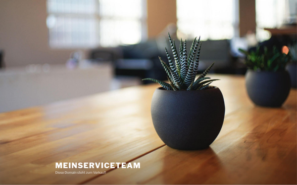 meinserviceteam.de