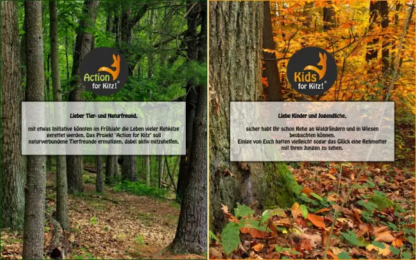 action-for-kitz.de