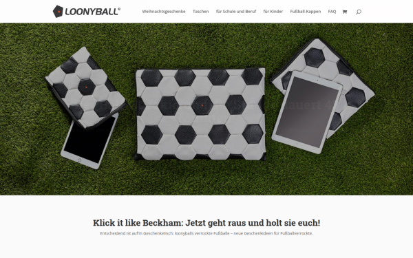 loonyball.com