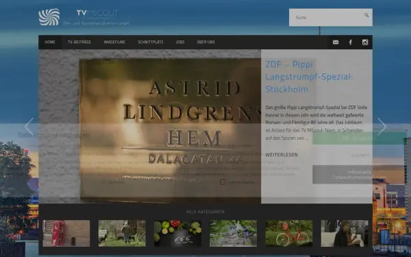 www.tvmscout.de
