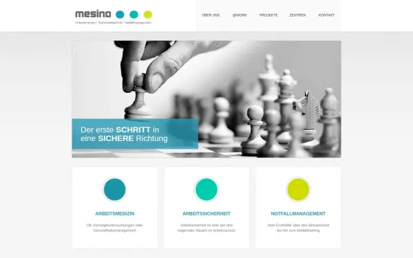 mesino-arbeitsschutz.de