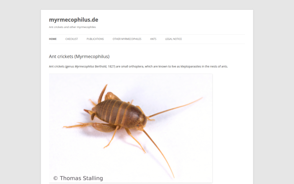 myrmecophilus.de
