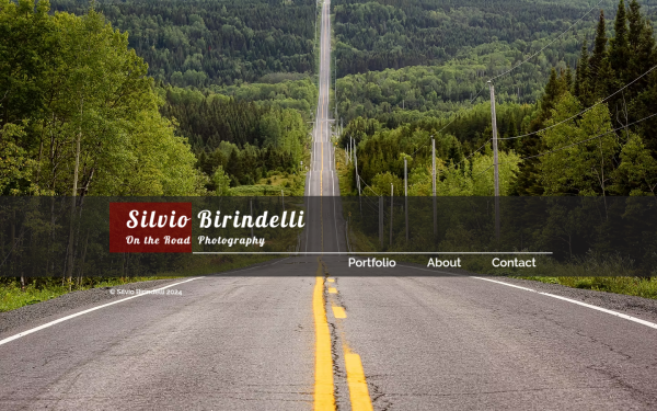 www.silviobirindelli.com