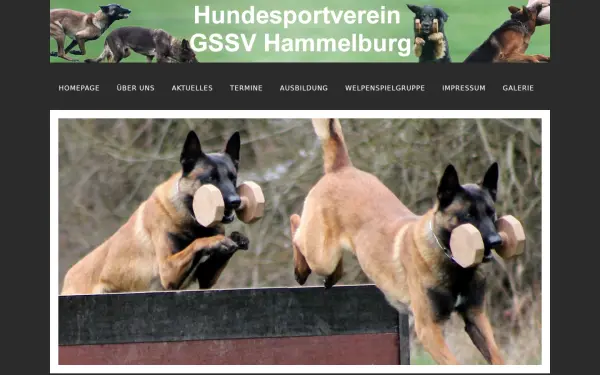 gssv-hammelburg.de