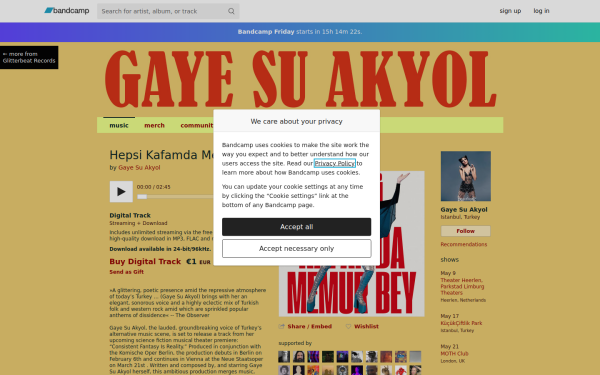 gayesuakyol.bandcamp.com