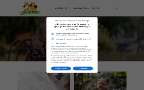www.zwierztastycznie.pl