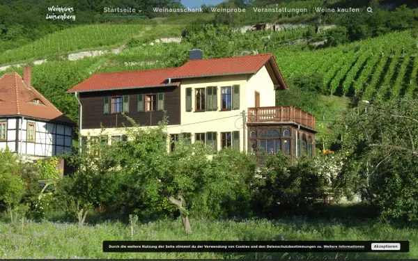 www.luisenberg.de