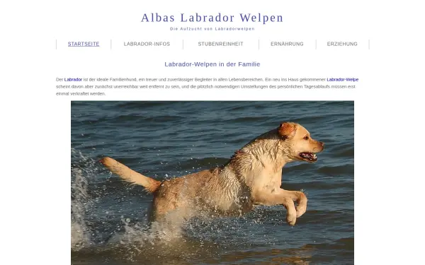 www.albas-labrador-welpen.de
