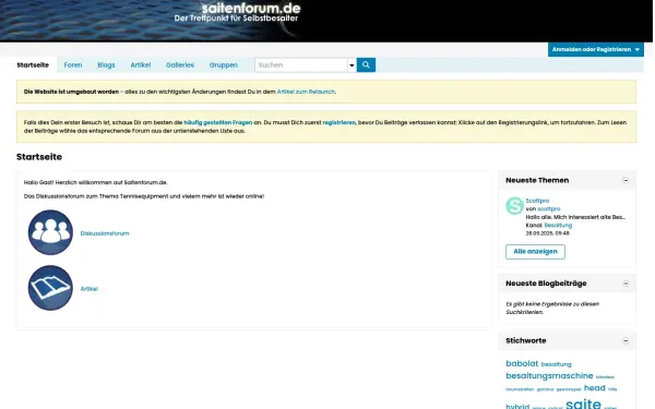 www.saitenforum.de