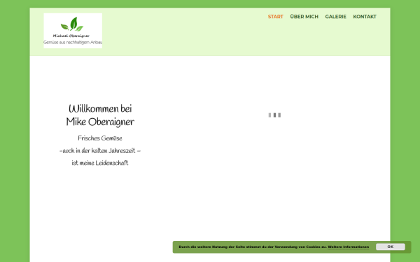 www.michaeloberaigner.at