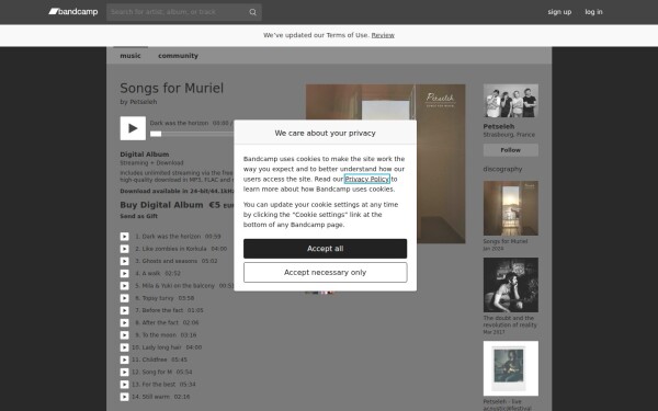 petseleh.bandcamp.com