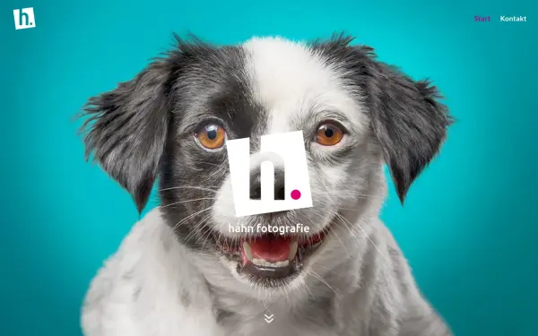 hahnfotografie.de