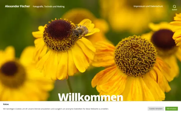 artfisch.de