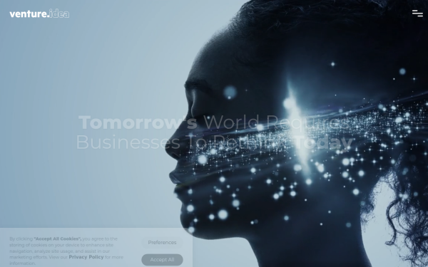 www.venture-idea.com