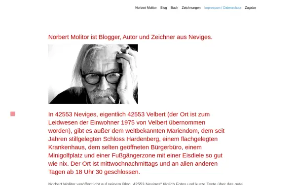 norbertmolitor.de