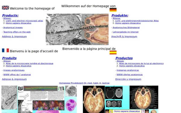anatomy-images.de