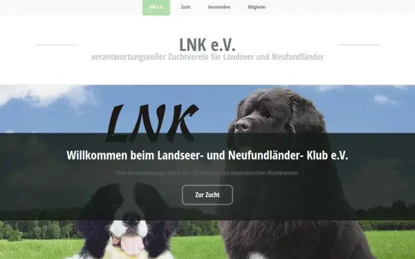 lnk-ev.de