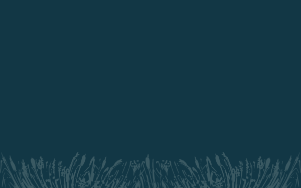 www.toblachersee.com