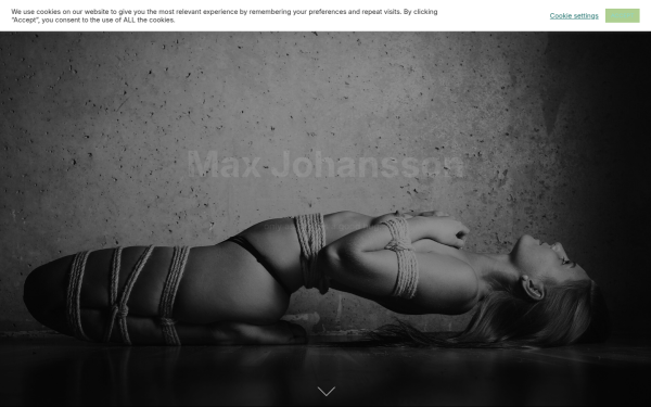 www.maxjohansson.art