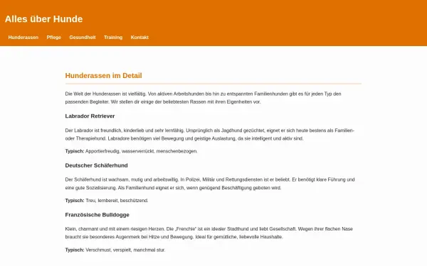 1die-richtige-wahl.info