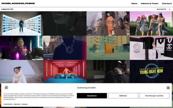 100blackdolphins-studio.com