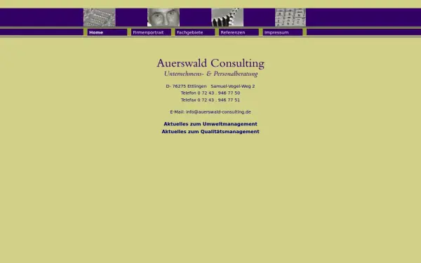auerswaldconsulting.de
