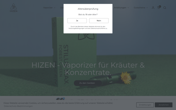 hizen.de