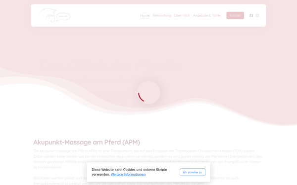 www.apm-wia.at