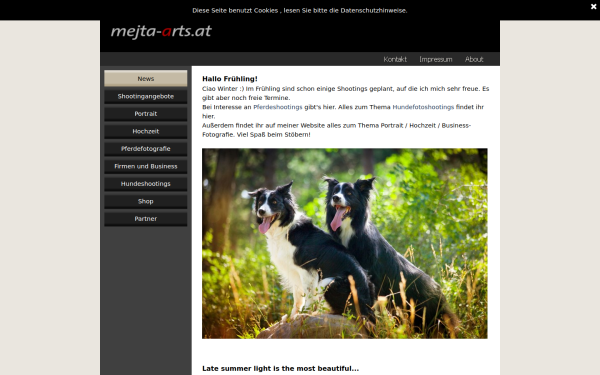 www.mejta-arts.at