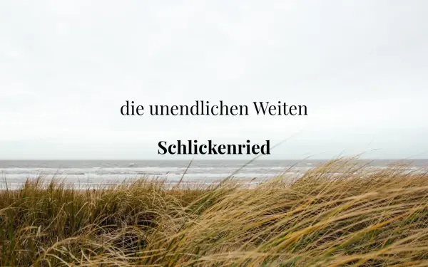 andibeck.de