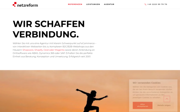 www.netzreform.de