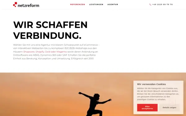 www.netzreform.de