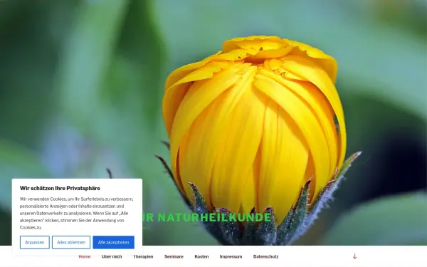 naturheilpraxis-bram.de