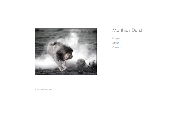 matthias-durst.com