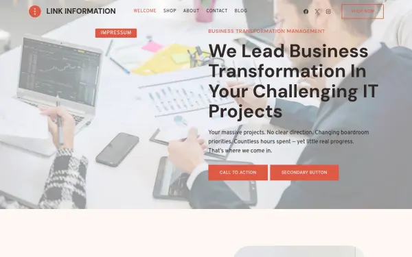 link-information-management.de