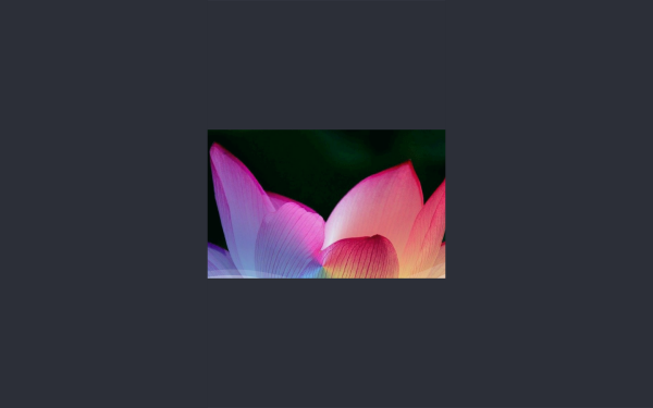 www.himmelsblume.de