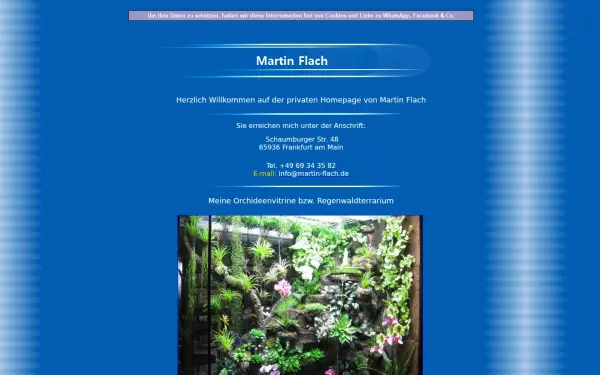 martin-flach.de