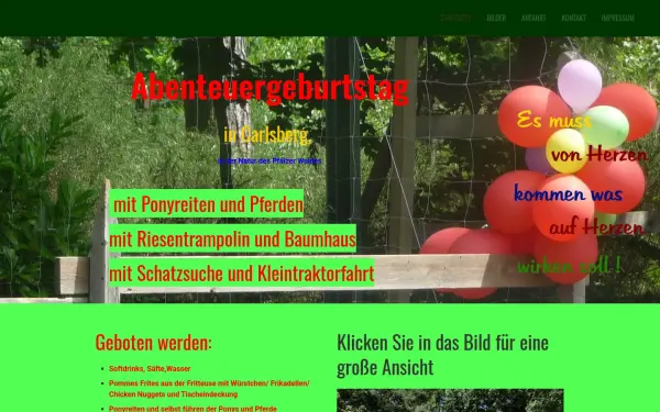 abenteuer-geburtstage.de