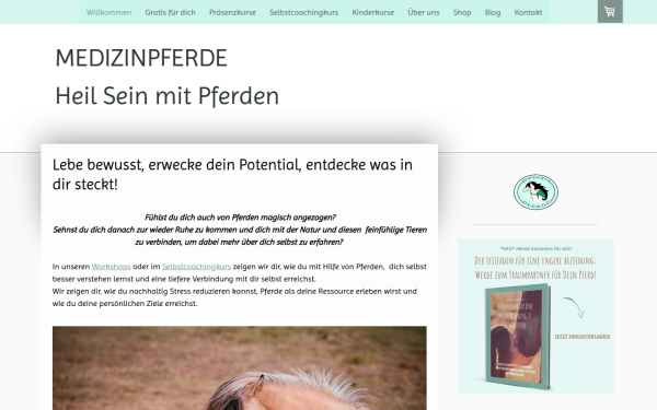 www.medizinpferde.de
