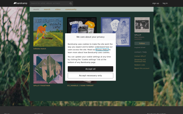 spllit.bandcamp.com