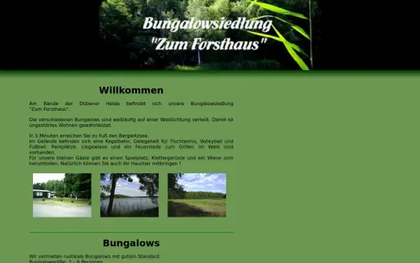 am-bergwitzsee.de