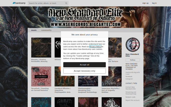 newstandardelite.bandcamp.com