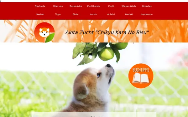 akita-inu-welpen.de
