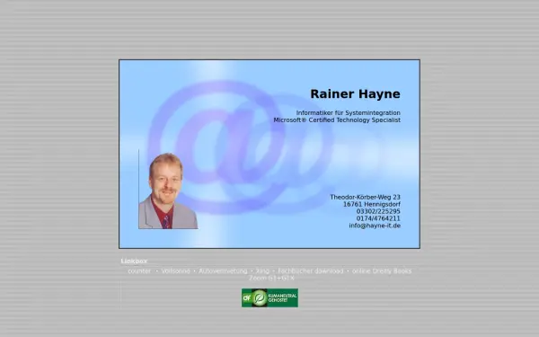 hayne-it.de