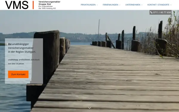 www.vms-ag.de